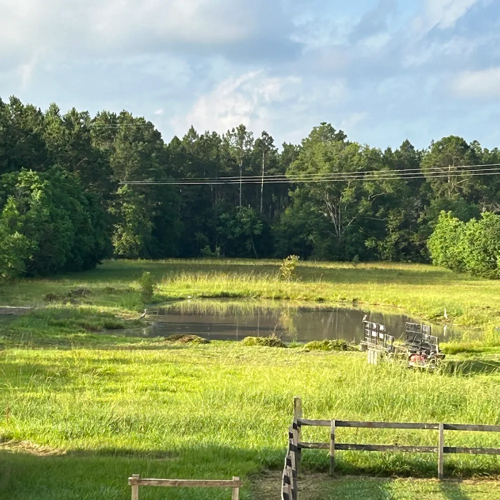 Pond cleaning result 2
